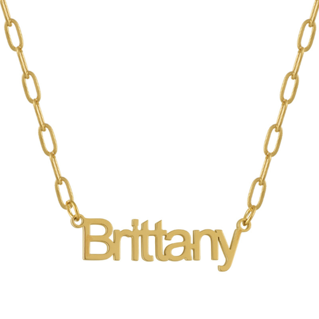 Custom/Personalized Paperclip Nameplate Necklace - EVRYJEWELS