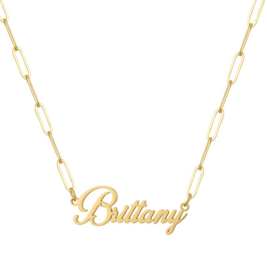 Custom/Personalized Paperclip Nameplate Necklace - EVRYJEWELS